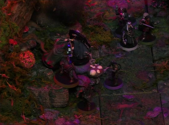A battlemap of a forest clearing. Kattigan, Wulferic, and Gaya Seremai face off against Candescent Creed members at the base of a large Hawthorn tree. Vaelus, Julien, Occtis, Pin, and Ulbid Morn stand together a short distance away. A large red mushroom with white spots is also near the base of the tree.