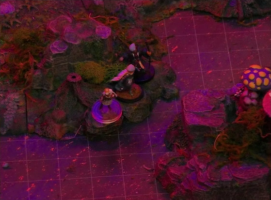 A battlemap of a forest clearing bathed in an eerie red glow. Three Candescent Creed members or fairy poachers stand by a lake. An island with large spotted mushrooms is in the lake, a very short distance from the shore.