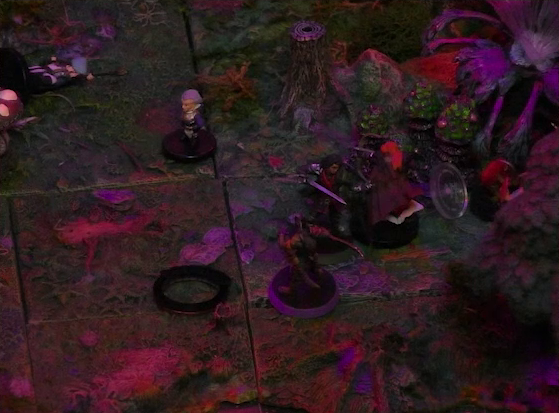 A battlemap of a forest clearing. Julien and Gaya Seremai face off aganist Candescent Creed members and fairy poachers, two of which are down. Ulbid Morn stands a short distance away. A huge purple flower is just at the edge of the image near Julien.