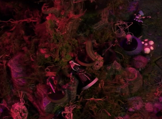 A battlemap of a forest clearing focused on a large leafless Hawthorn tree. Vaelus faces off against Candescent Creed members and fairy poachers at the base of the tree. A large red mushroom with white spots grows from the ground.