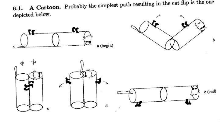 A hand-drawn diagram from an academic paper of a cat modeled as two cylinders flipping itself feet-down as it falls. A tail, four feet, and a smiling cat face are in-expertly drawn onto the cylinders, mixing the style of a geometric figure with a child’s doodle. The diagram is labeled “6.1. A Cartoon. Probably the simplest path resulting in the cat flip is the one depicted below.” The diagram is in five stages. First, labeled “a (begin)”, the two cylinders are end-to-end and the cat is feet-up. In stage “b”, the cylinders pivot at their joining point towards each other, moving the cat’s front and rear legs together. In stage “c”, the cylinders are touching on their long ends, modeling the cat bending in half at the waist, the cat’s smiling face and tail both facing straight up. In stage “d”, the cylinders flip so that the cat’s legs are facing out, modeling the cat bending fully in half backwards so its head is level with its butt. In stage “e (end)”, the cylinders are end-to-end again, this time with the cat facing feet-down.